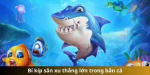 Bí kíp săn xu thắng lớn trong bắn cá